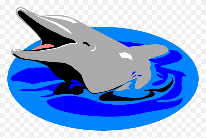 958x619 Dolphins Images Free Dolphin In Water Clipart, Sea Life, Animal, Mammal HD PNG Download