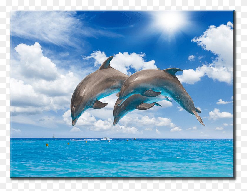 921x695 Descargar Png Delfines Saltando Lienzo Arte De La Pared Lindos Delfines Saltando, Animal, Mamífero, Vida Marina Hd Png