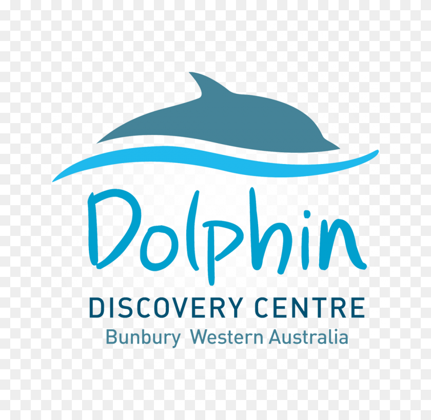 1080x1052 Дельфины Разрешение Пикселей Центр Открытия Дельфинов Банбери, Морская Жизнь, Животное, Млекопитающее Hd Png Скачать