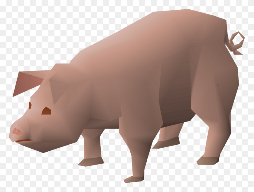 1200x889 Domestic Pig, Mammal, Animal, Piggy Bank HD PNG Download