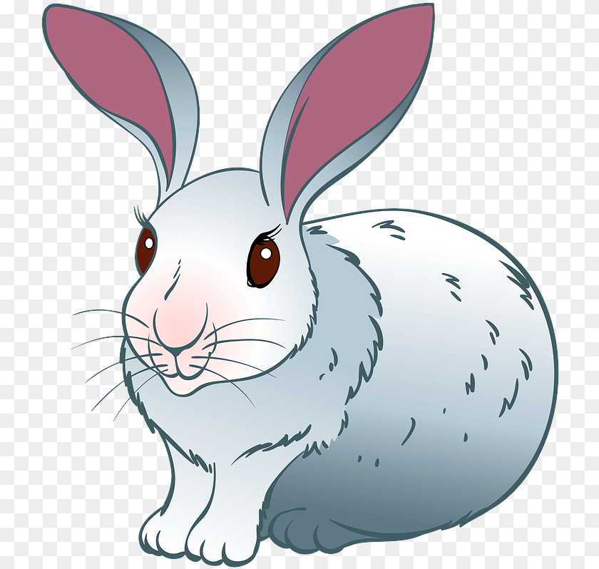 Domestic Rabbit, Animal, Baby, Mammal, Person PNG