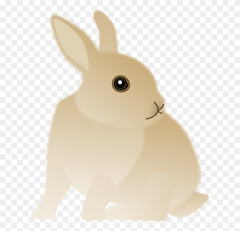 633x750 Domestic Rabbit Hare Easter Bunny Whiskers Domestic Rabbit, Rodent, Mammal, Animal HD PNG Download