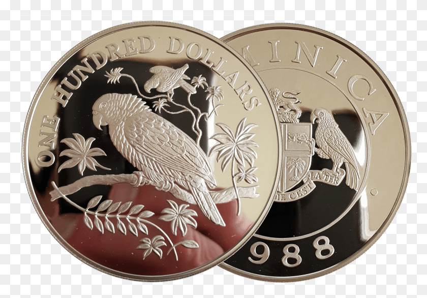 2073x1398 Доминика 100 Долларов Императорская Амазонка 1988 Серебряная Монета, Птица, Животное, Деньги Png Скачать