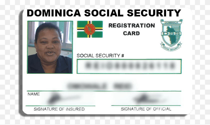 699x442 Dominica Social Security Card, Text, Person, Human HD PNG Download