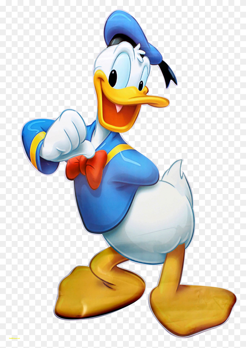 1496x2156 Donald Duck Images Donald Duck Donald Duck, Toy, Animal HD PNG Download