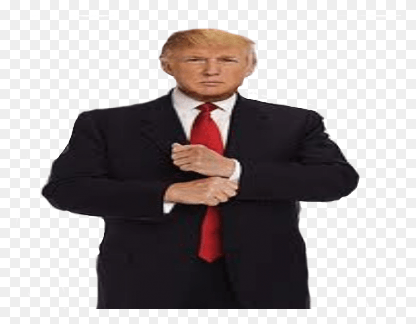 788x601 Donald Trump Full Body Businessperson, Attorney, Person, Human HD PNG Download