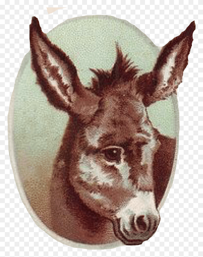1460x1878 Donkey Burro, Mammal, Animal, Horse HD PNG Download