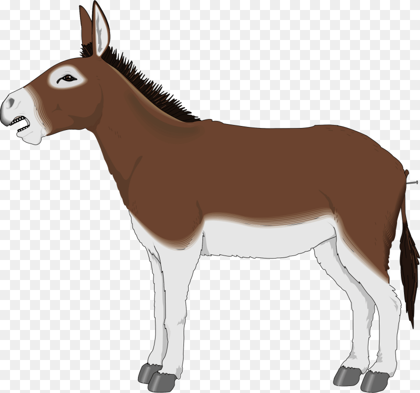 Donkey Clipart, Animal, Mammal, Wildlife, Zebra PNG