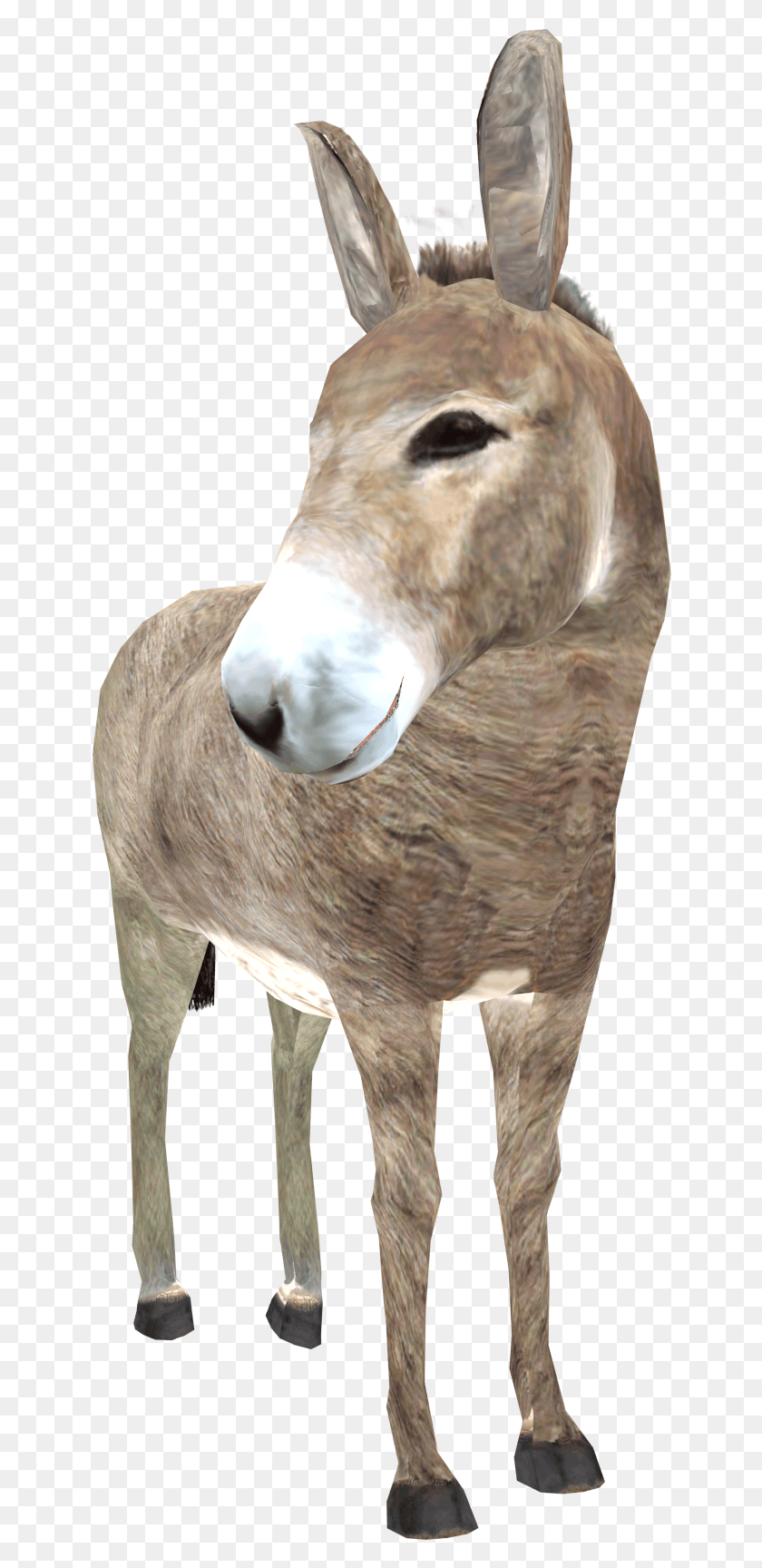 640x1668 Donkey High Quality Image Burro, Animal, Mammal, Antelope HD PNG Download
