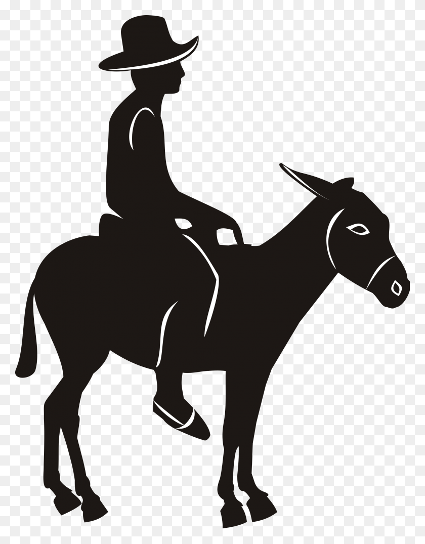 2000x2605 Caballo Png / Caballo Png