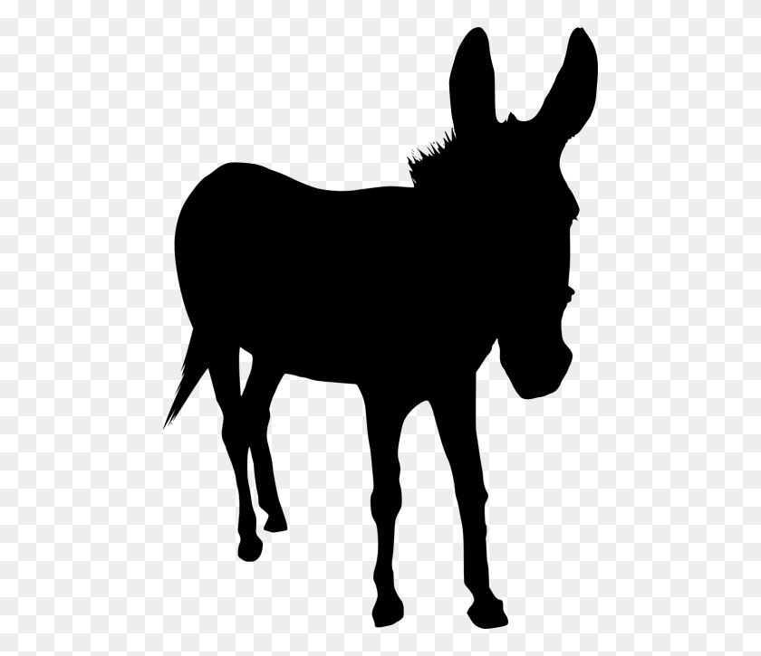 480x665 Donkey Silhouette, Mammal, Animal HD PNG Download