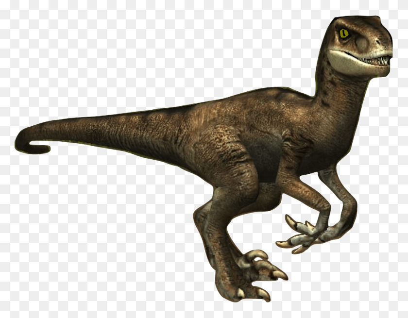 1414x1080 Donna The Velociraptor, Dinosaur, Reptile, Animal HD PNG Download