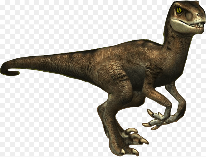 Donna The Velociraptor Velociraptor Transparent, Animal, Dinosaur, Reptile, T-rex PNG
