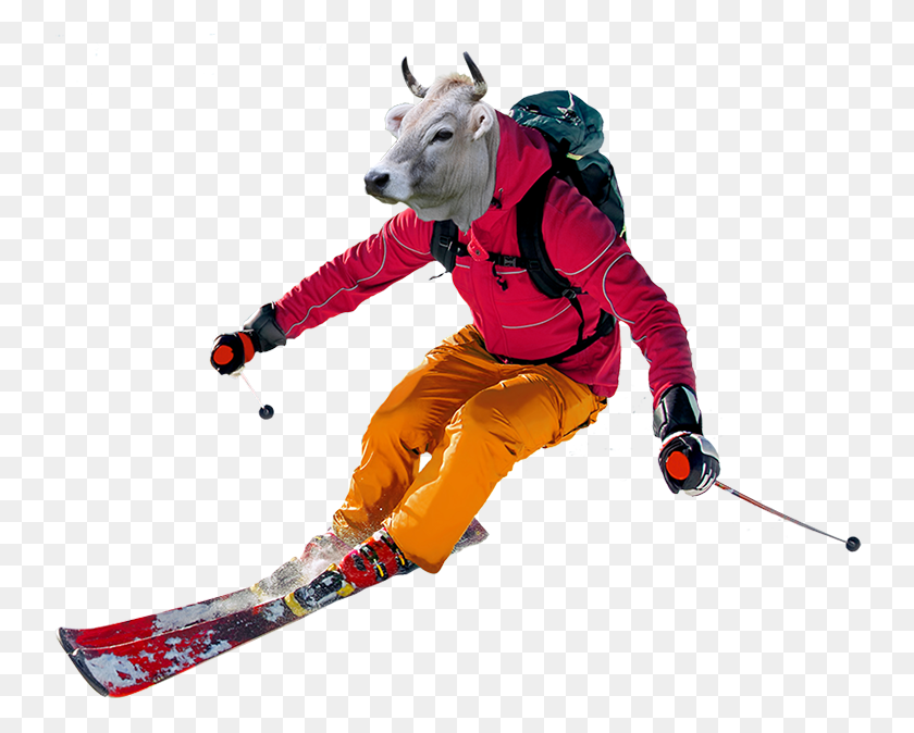 744x614 Dont Want To Bring Your Skis No Worries We39ll Take Polscy Narciarze, Person, Human, Outdoors HD PNG Download