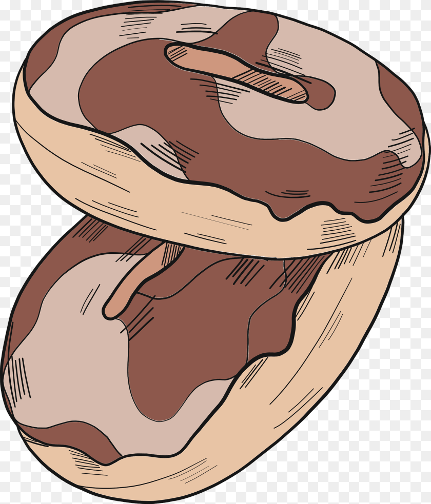 Donuts Clipart, Vegetable, Produce, Plant, Nut Transparent PNG