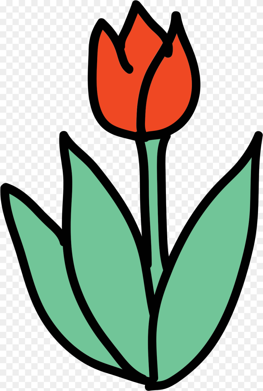 1043x1551 Doodle Icon, Flower, Leaf, Plant, Rose Sticker PNG