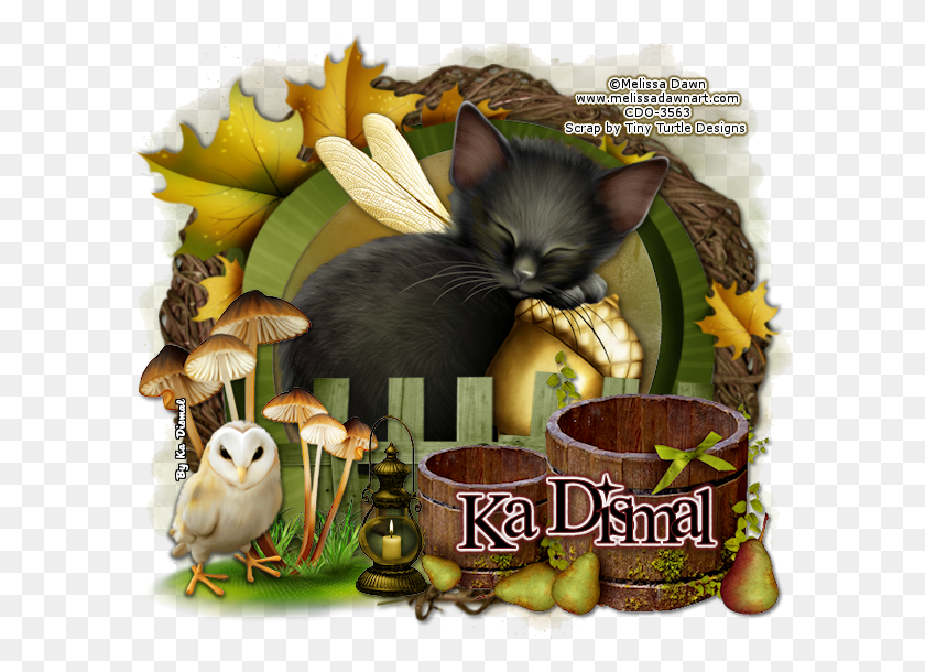 600x550 Door To Fantasy 1 Kitten, Advertisement, Bird, Animal HD PNG Download