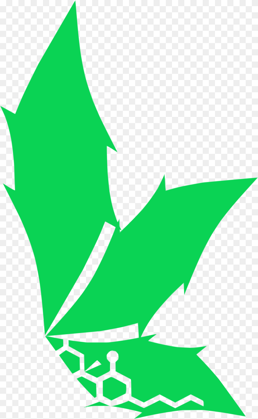 Dope Industries Clip Art, Leaf, Plant, Green, Animal PNG