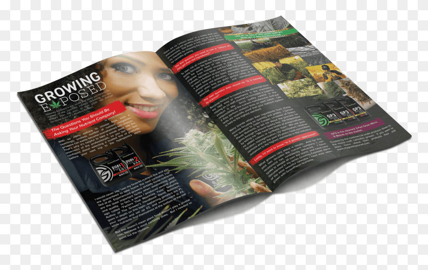 2381x1435 Dope Magazine Article Cannabis Green Planet Nutrients Flyer, Poster, Advertisement, Paper HD PNG Download