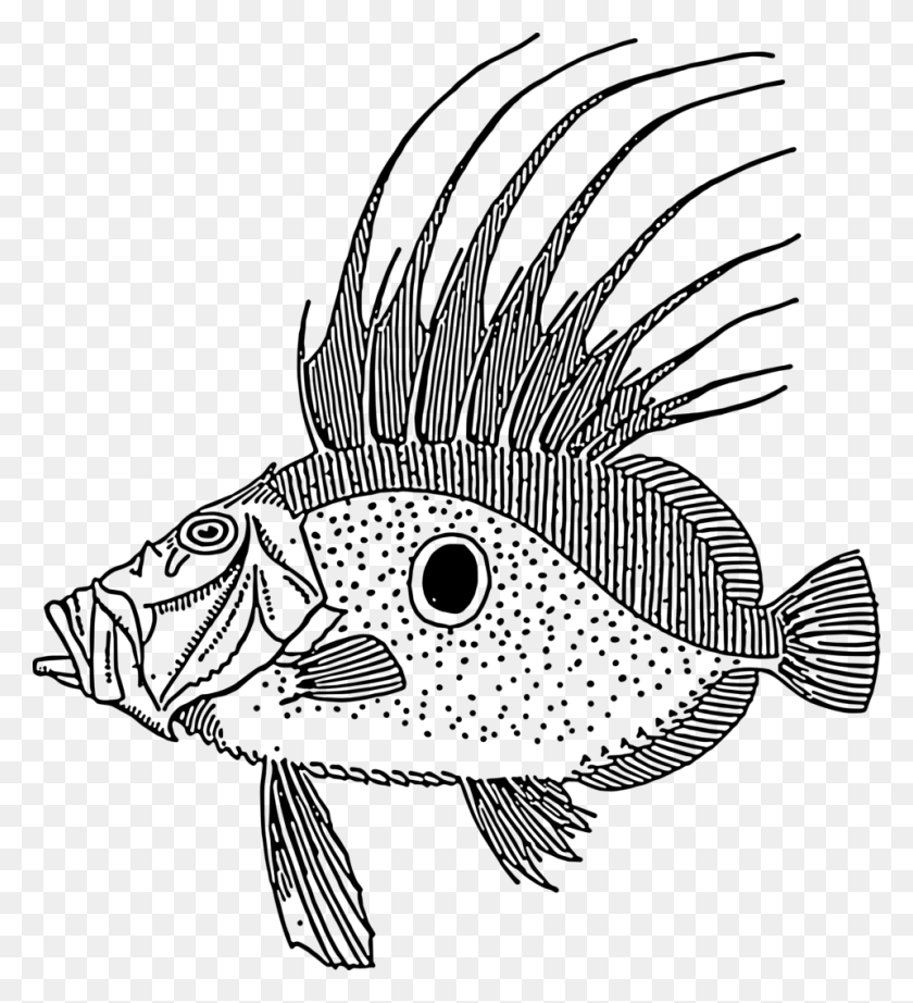 958x1059 Dory Fish, Gray, World Of Warcraft HD PNG Download