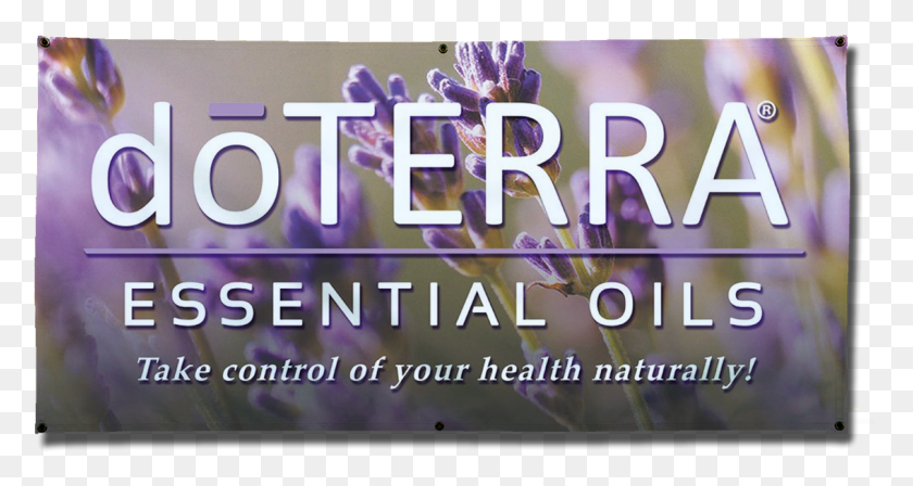 1132x564 Doterra Essential Oil Banners, Text, Poster, Advertisement HD PNG Download