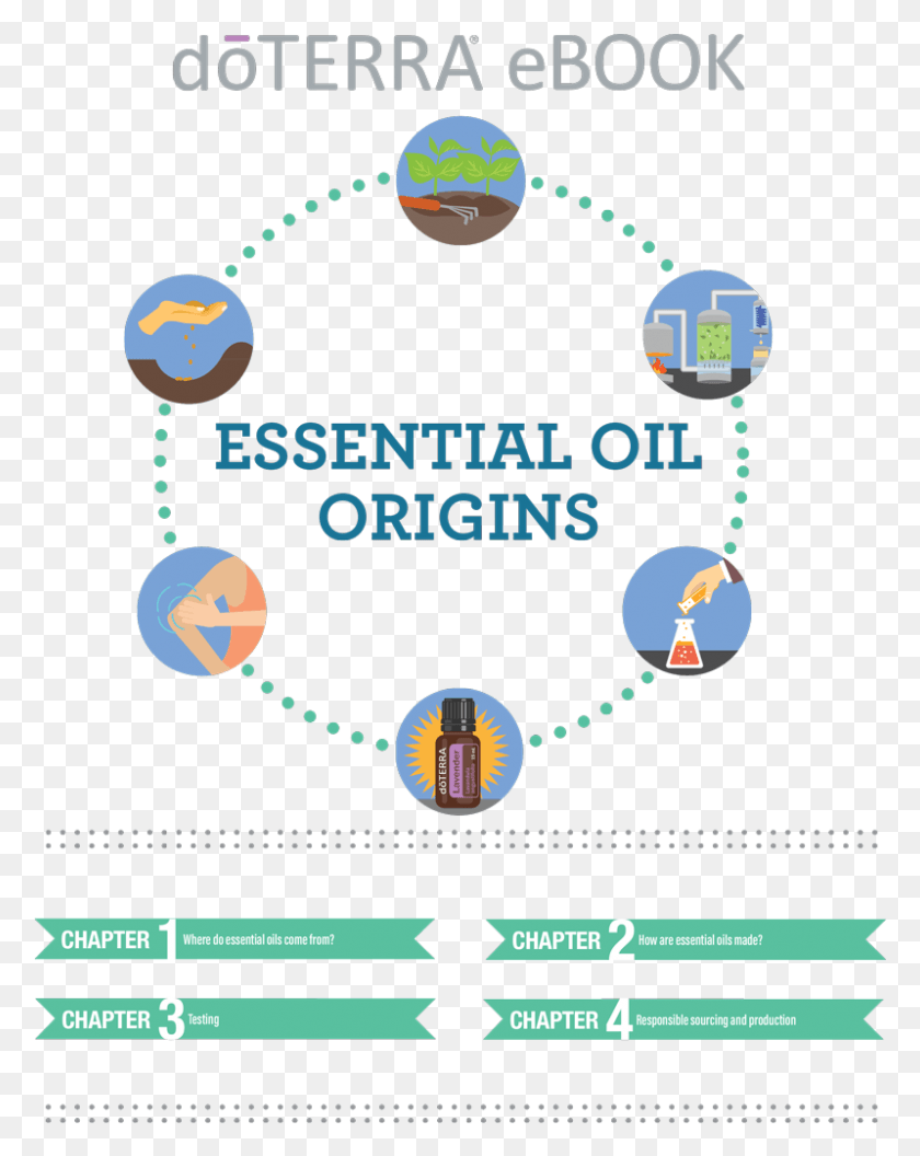 799x1021 Doterra Essential Oils Origins Doterra Essential Oils For Fitness, Outdoors, Eclipse, Astronomy HD PNG Download