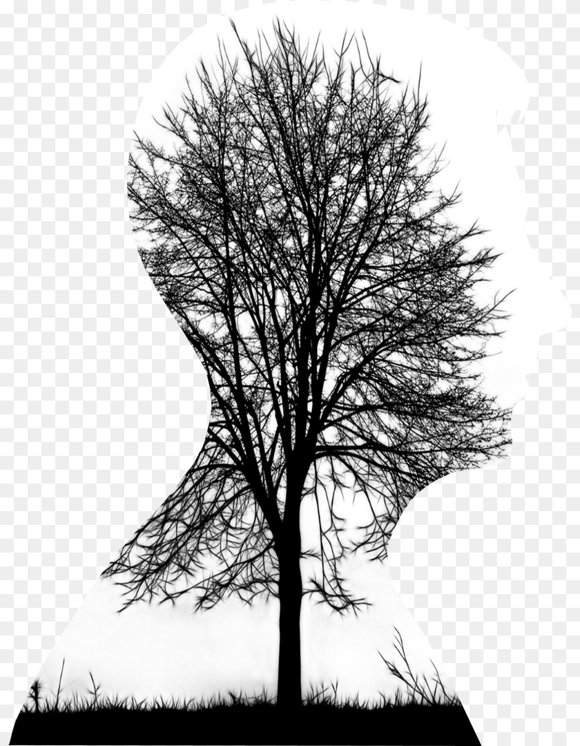 817x1080 Double Exposure Tree, Plant, Silhouette, Tree Trunk, Person Transparent PNG