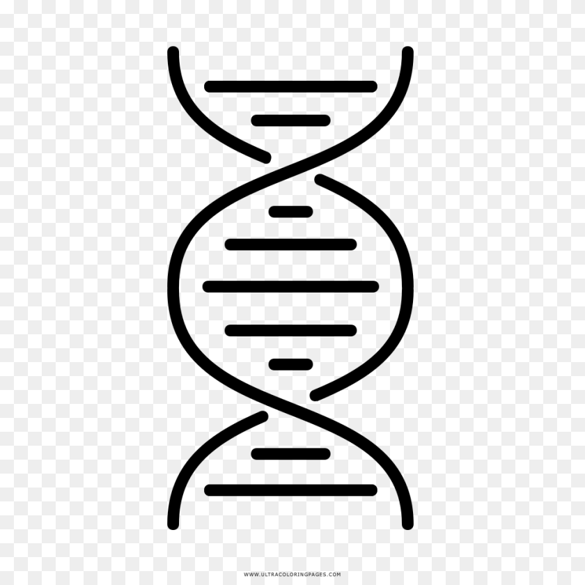 1000x1000 Double Helix Coloring, Gray Sticker PNG