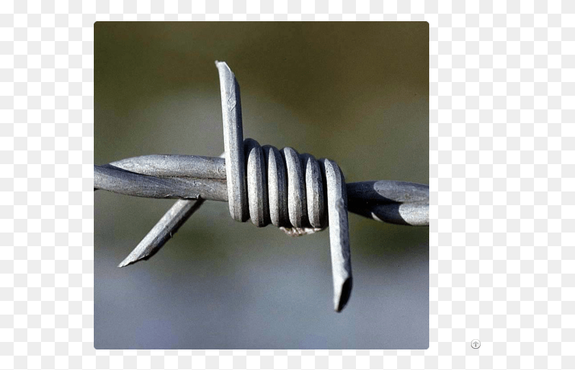 567x481 Double Single Twist Barbed Wire Barbed Wires, Wire HD PNG Download