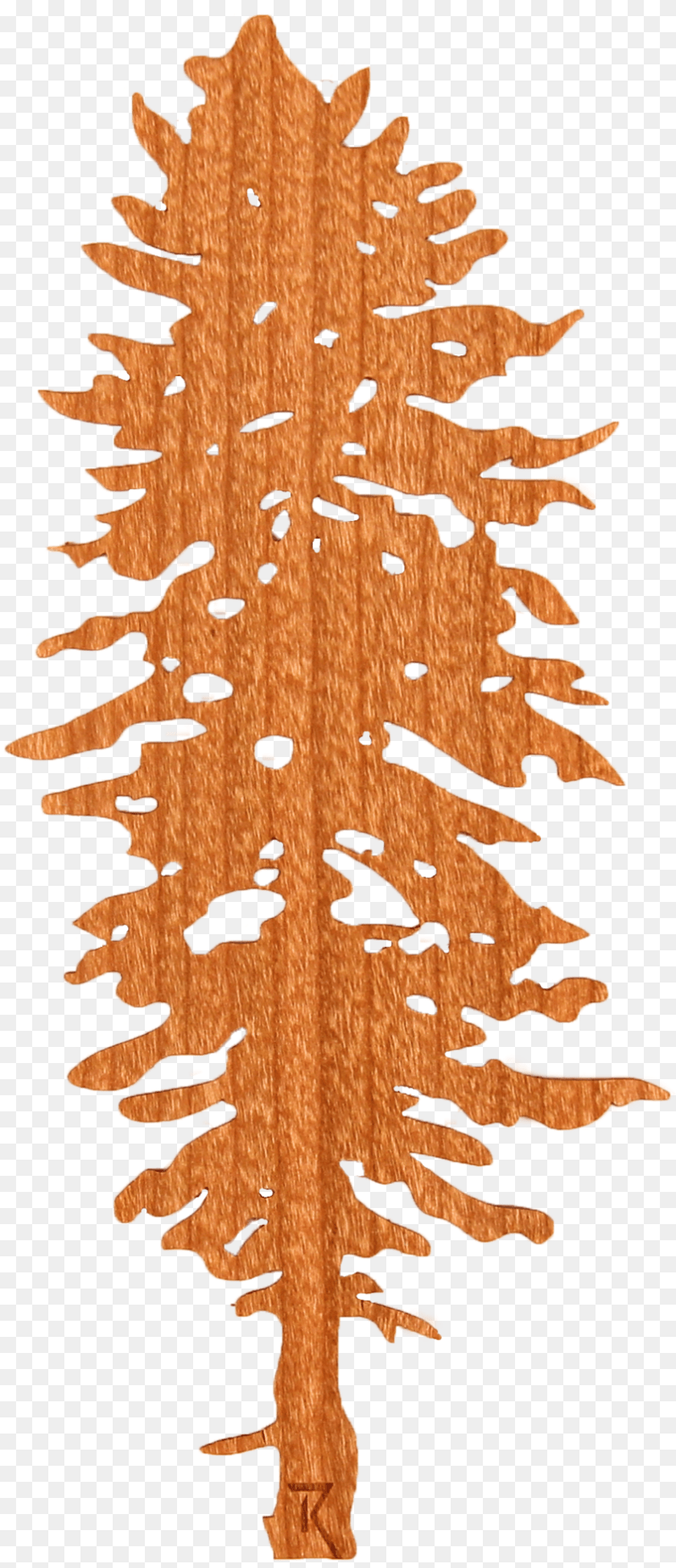 845x1959 Doug Fir Wood Stickerclass Lazyload Lazyload Fade Doug Fir Cascadia Flag, Home Decor, Rug, Tree, Plant Sticker PNG