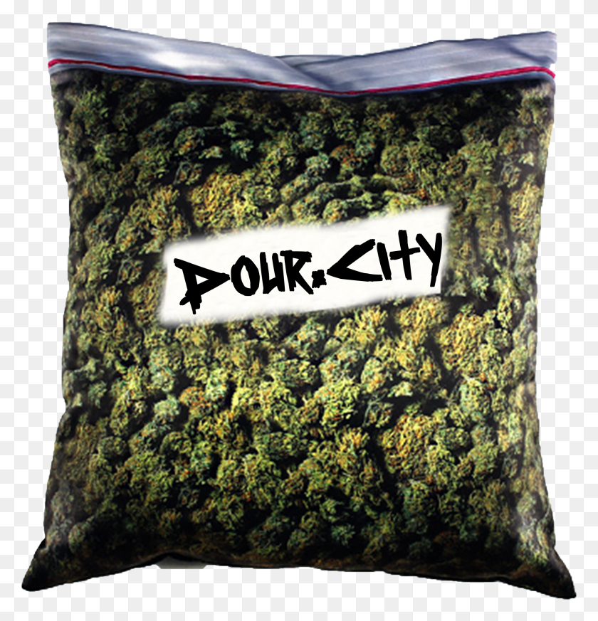 2258x2356 Dour City Pillow HD PNG Download