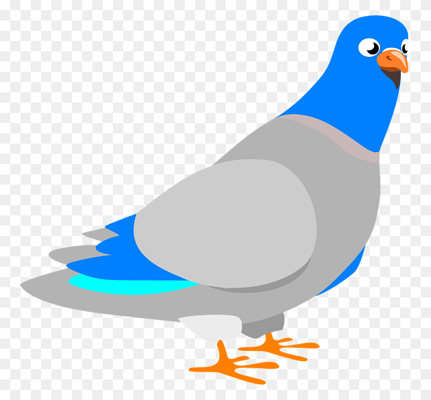 762x720 Dove Bird Animal Pigeon Peace Feather Wing Beak Pigeon Clip Art HD PNG Download