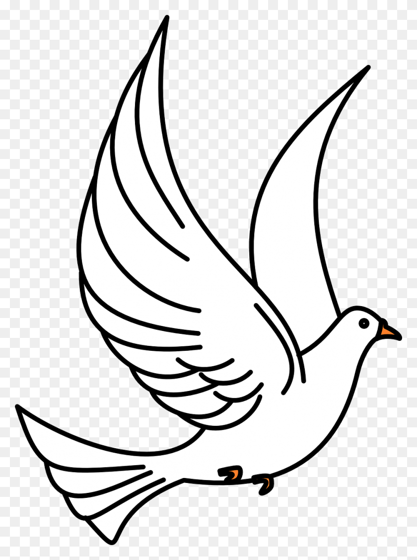935x1280 Dove Birds Flying Flight Wings Image Flying Bird Clipart Black And White, Bird, Animal, Pigeon HD PNG Download