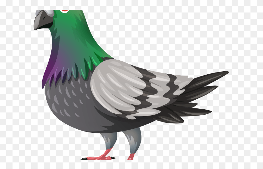 627x481 Dove Clipart Burung Imagenes De Clase Aves, Bird, Animal, Pigeon HD PNG Download