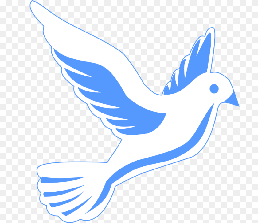 Dove Small, Animal, Bird, Pigeon Clipart PNG