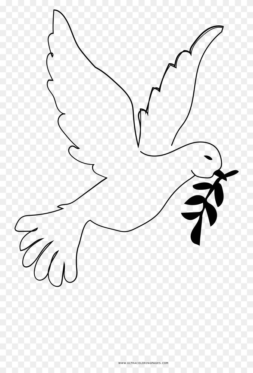 746x1178 Dove Coloring Pages Peace, Outdoors, Nature, Night HD PNG Download