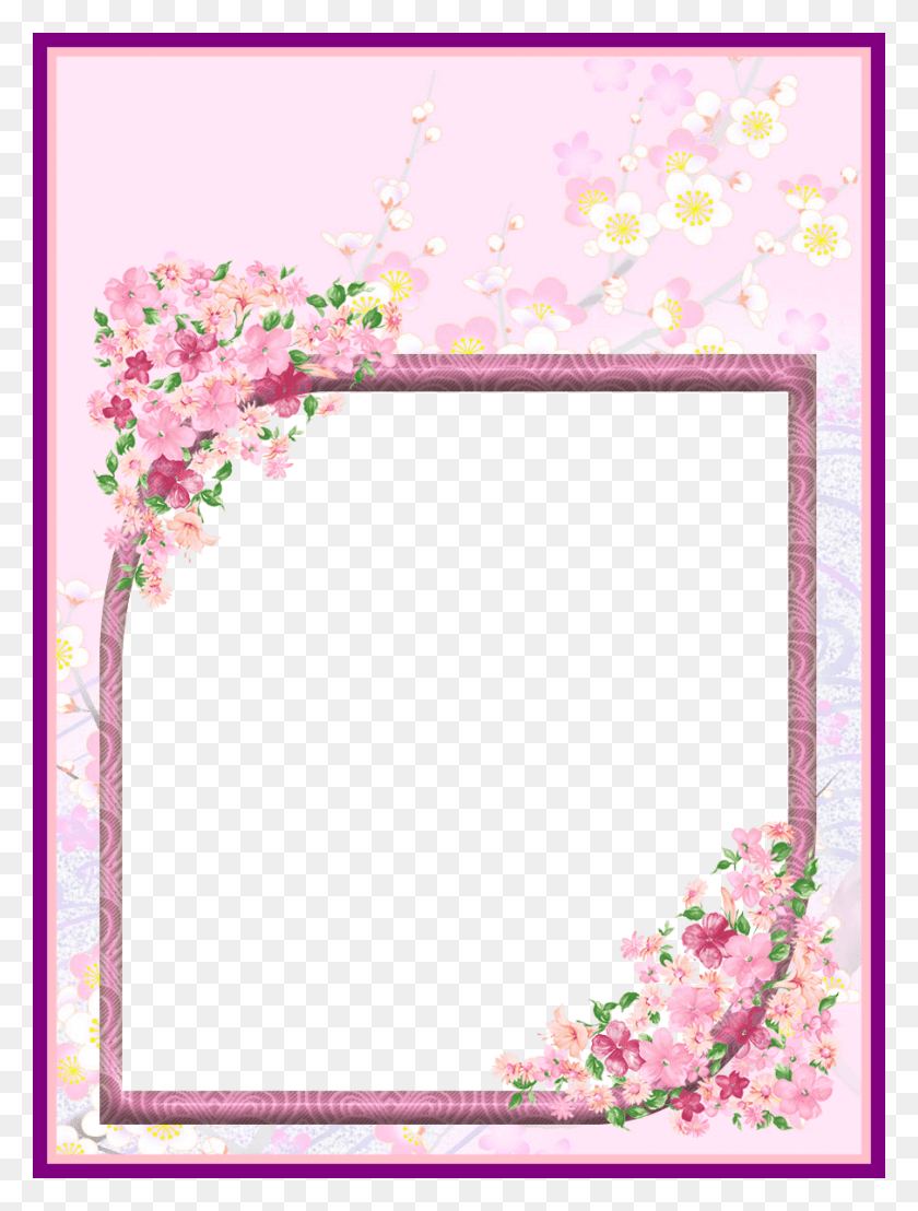 905x1216 Dove Dove Transparent Background Stunning Pink Wednesday Prayers Amp Blessings, Graphics, Floral Design HD PNG Download
