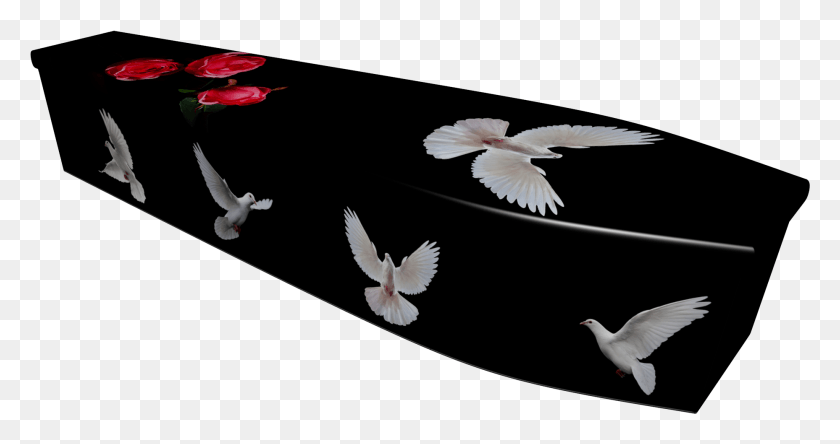1857x916 Dove Printed Wooden Coffin Pigeons And Doves, Bird, Animal, Flying HD PNG Download