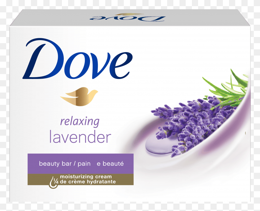 4747x3802 Dove Relaxing Lavender HD PNG Download