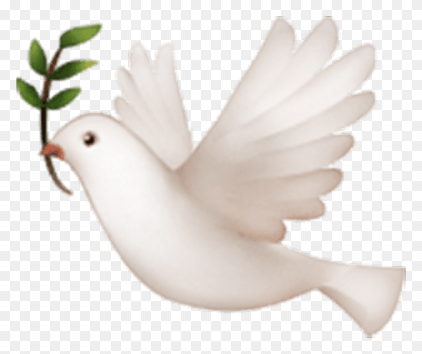 801x663 Dove White Nature Animal Emoji Stickers Cute Bird Emoji On Iphone, Pigeon, Snowman, Winter HD PNG Download