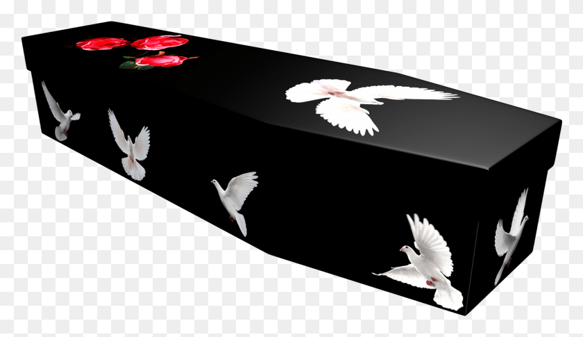 1740x949 Doves Cardboard Coffin Dove In Flight, Bird, Animal, Flying HD PNG Download