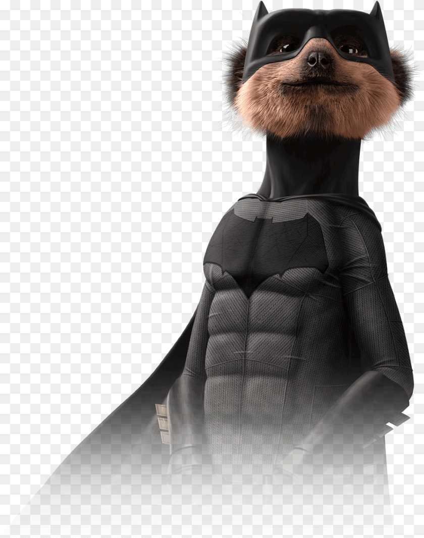 978x1241 Download Aleks Meerkat Batman, Adult, Female, Person, Woman Transparent PNG