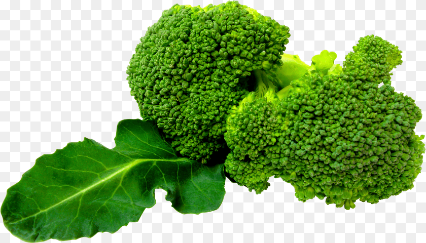 Download Broccoli Image For Broccoli Sticker PNG
