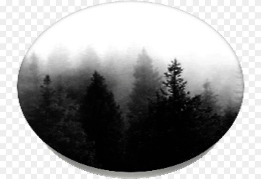 736x577 Download Dark Forest Popsockets Christmas Tree Full Larch, Weather, Outdoors, Nature, Night Clipart PNG