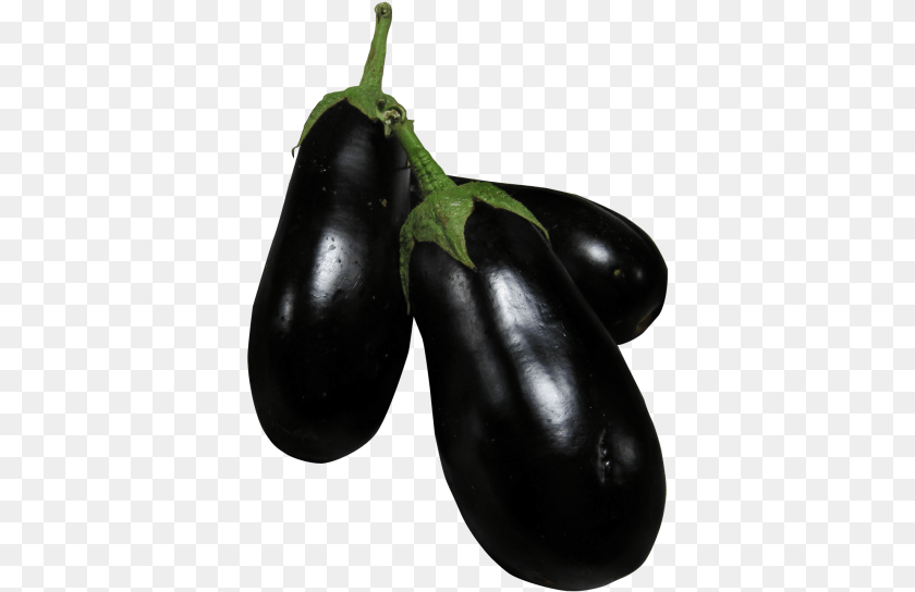 388x544 Download Eggplant Image Brinjal, Food, Produce, Plant, Vegetable PNG