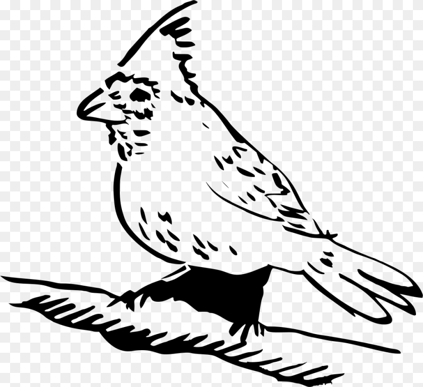 Download Feather Perched Gray Clipart PNG