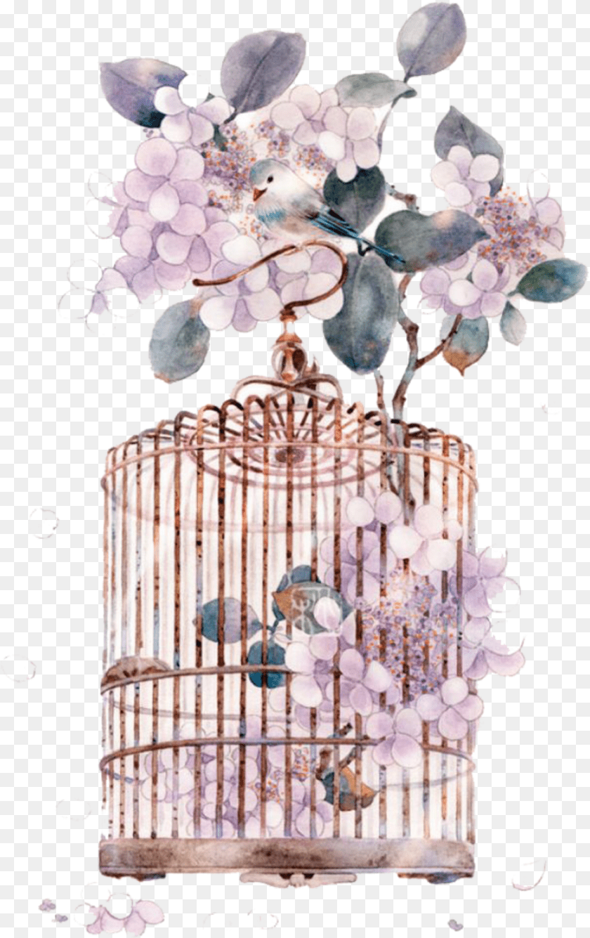 933x1483 Ftestickers Watercolor Bird Birdcage Flowers Birdcage, Chandelier, Lamp, Animal, Plant Clipart PNG