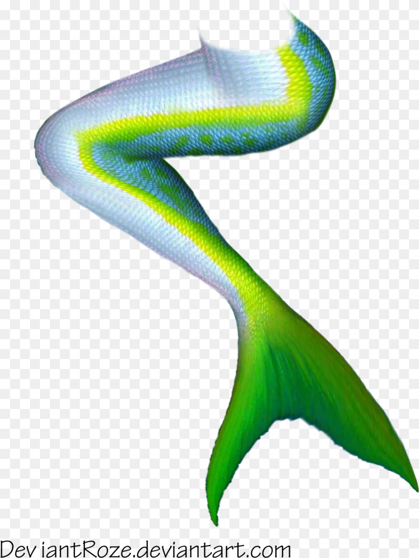 Download Google Search Fin Shape Mermaid Tail Transparent Background, Aquatic, Water, Animal, Reptile PNG