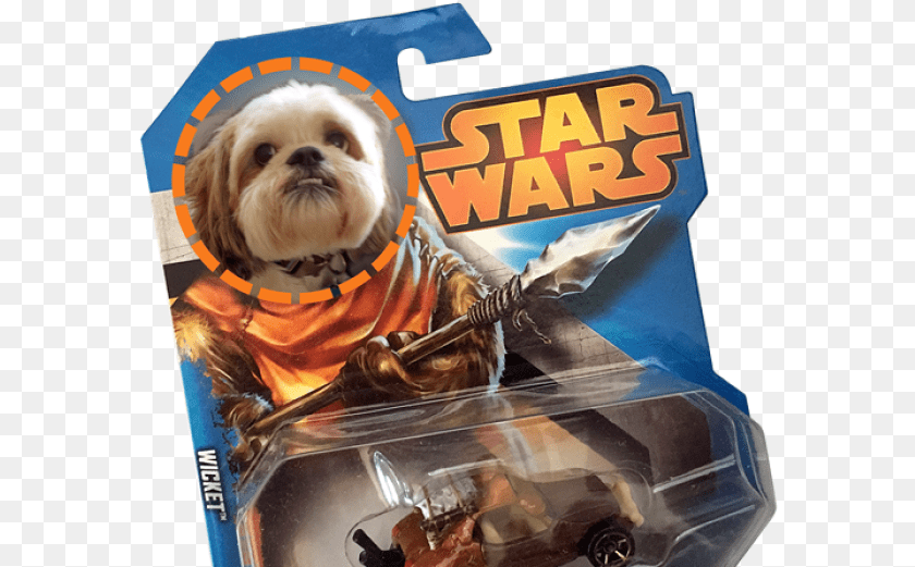 587x521 Download Hd Billy The Lhasa Apso Ewok Star Wars, Animal, Canine, Dog, Mammal PNG