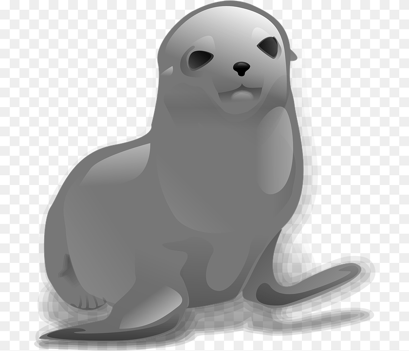 702x721 Download Seal Animal Seal Clip Art, Sea Lion, Sea Life, Mammal, Wildlife Transparent PNG